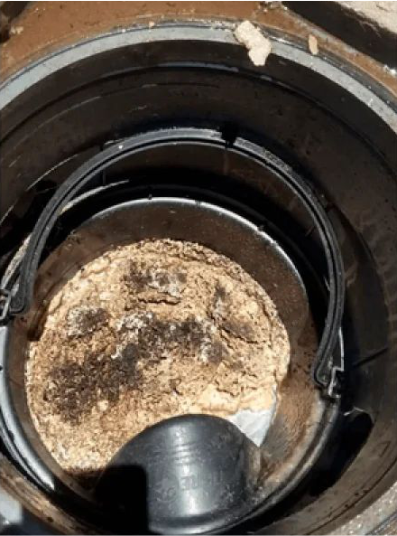 Caixa de gordura antes da limpeza